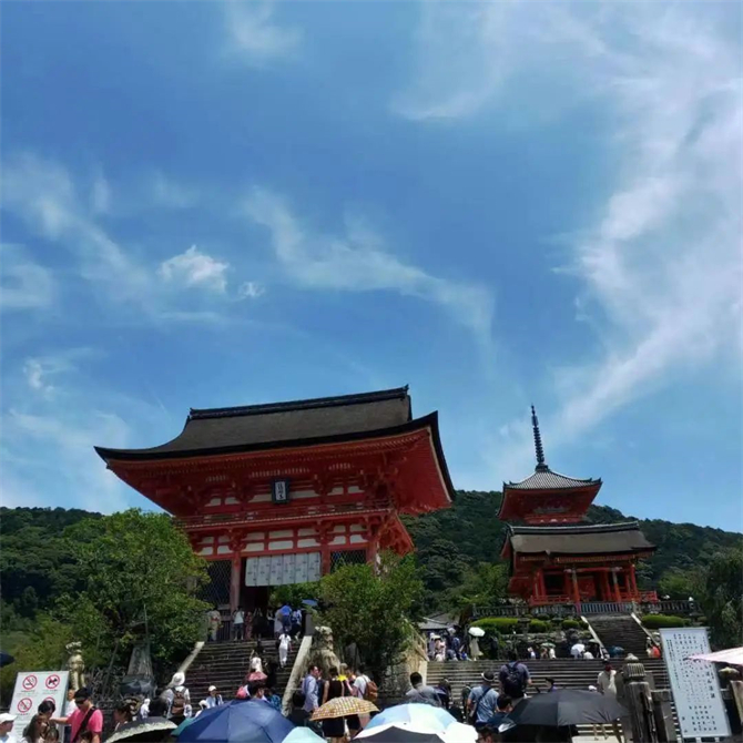 日本夏校回顾 | 最好的成长在路上，深度体验日本人文与自然之美！