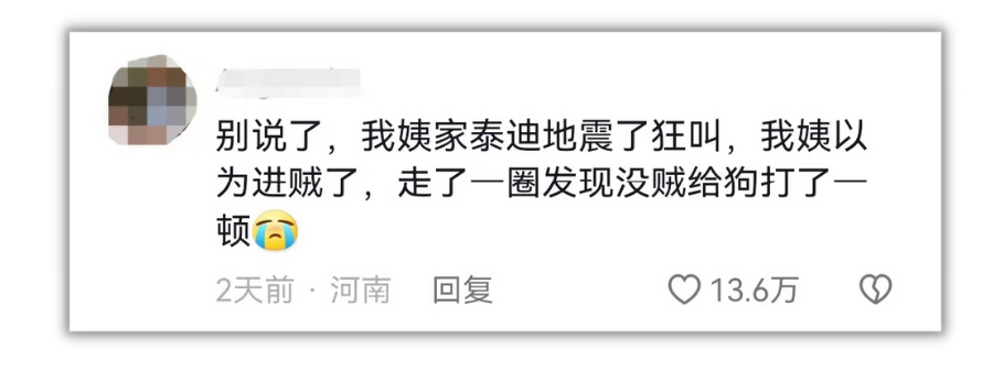 因为地震，几乎全山东80%的狗子都挨揍了