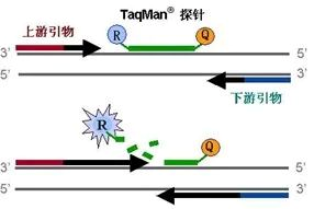 High Stability, Sensitivity, and Specificity Probe Synthesis