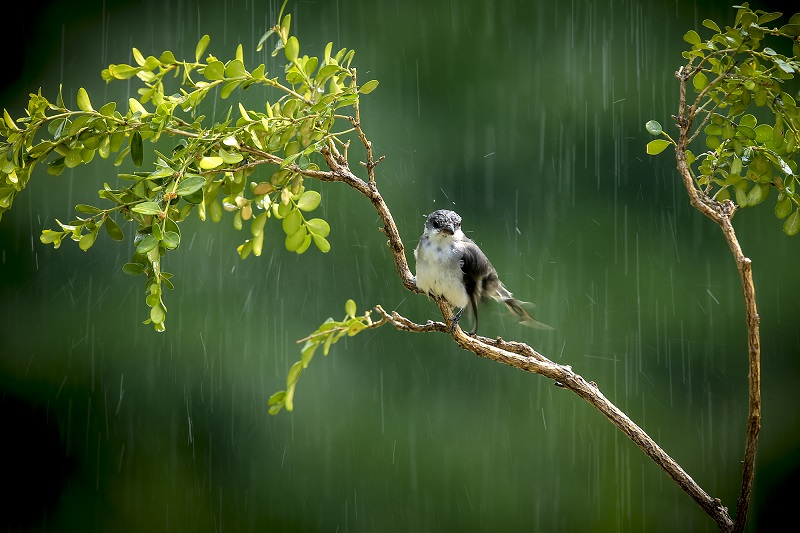 雨水监测：如何利用现代技术实现快速、准确的预测与调控