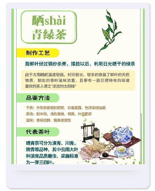 茶言茶语之绿茶篇