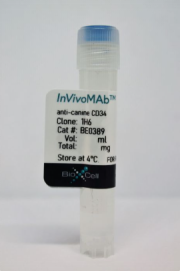 BioXCell热销产品--InVivoMAb anti-canine CD34