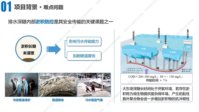 專家報告丨湯丁丁：排水深隧淤積防控技術研究與實踐——以大東湖深隧為例