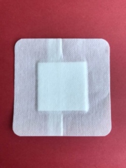 Adhesive dressing with pad