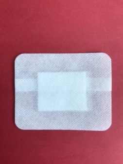 Adhesive dressing with pad