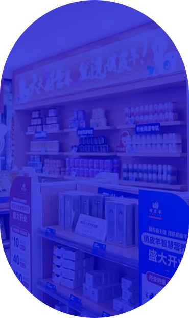  发展思路