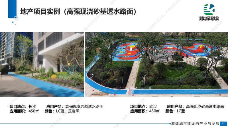 专家报告丨张丽：基于“海绵城市”理念下常用透水材料探究