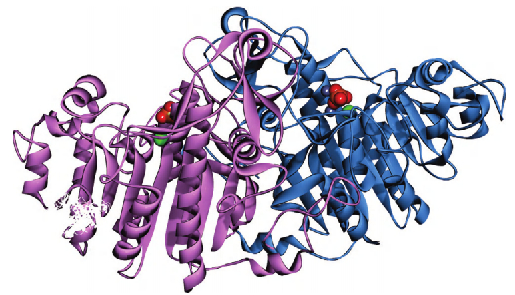 诊断酶学之细说碱性磷酸酶 | 高活性、快供应，完美直替进口！