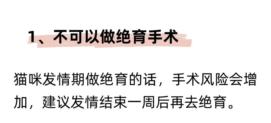 抑制母猫发情只需要一根棉签？