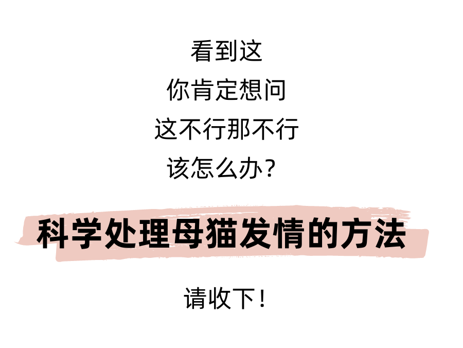 抑制母猫发情只需要一根棉签？