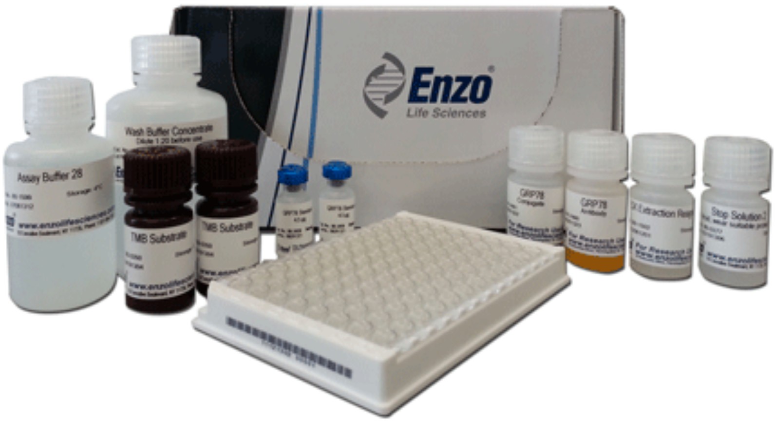 葡萄糖调节蛋白78/结合免疫球蛋白酶联免疫检测试剂盒Grp78/BiP ELISA kit—Enzo Life Sciences热销产品