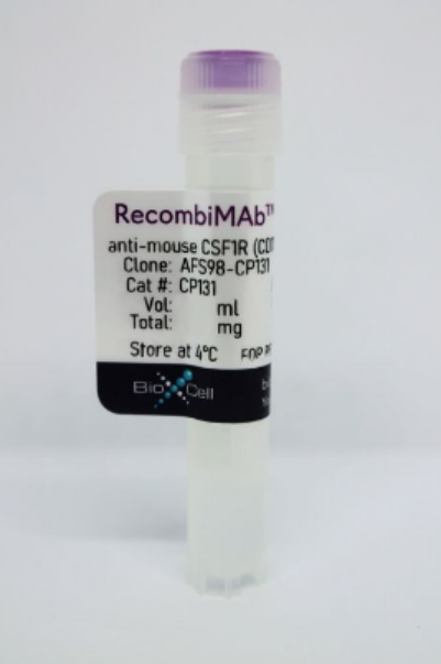 BioXCell热销产品--RecombiMAb anti-mouse CSF1R (CD115)