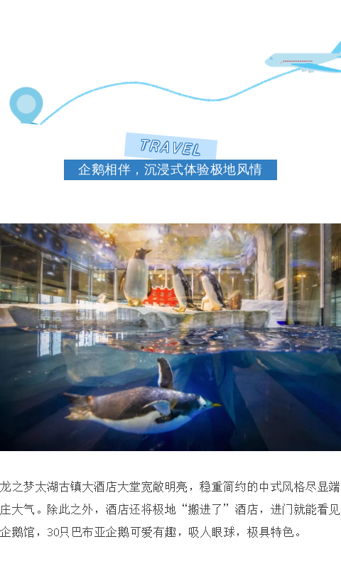 【迎风】2023葆蒂兰国际集团会员嘉年华与您相约龙之梦太湖古镇大酒店