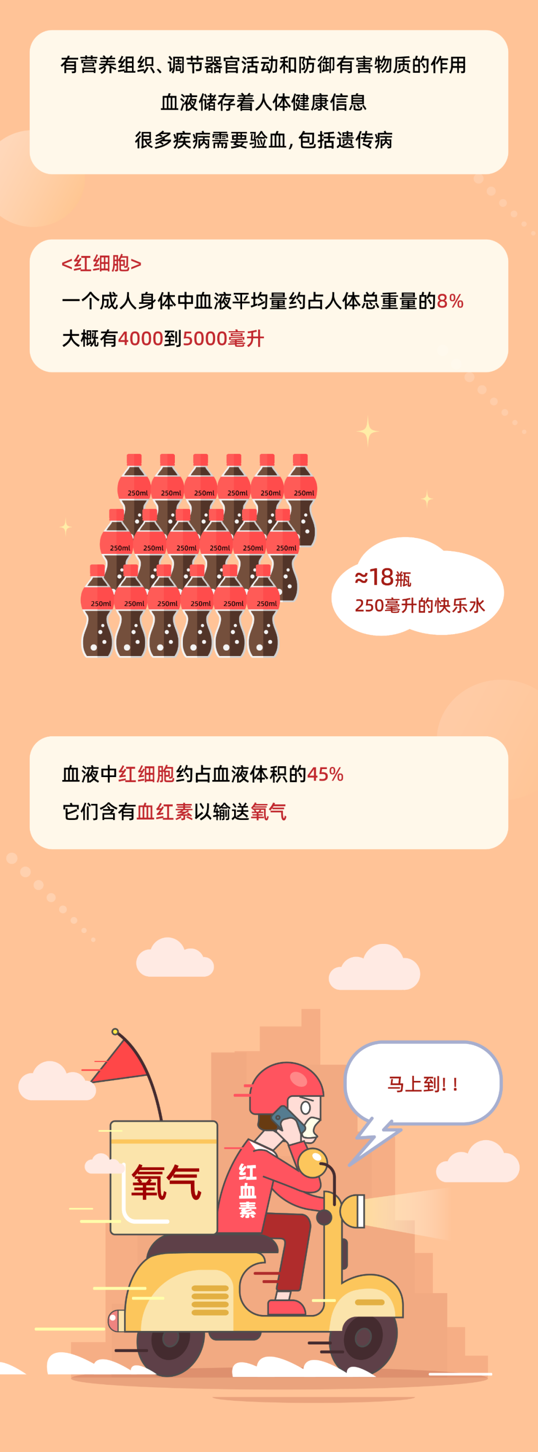 血液的寿命到底有多长？