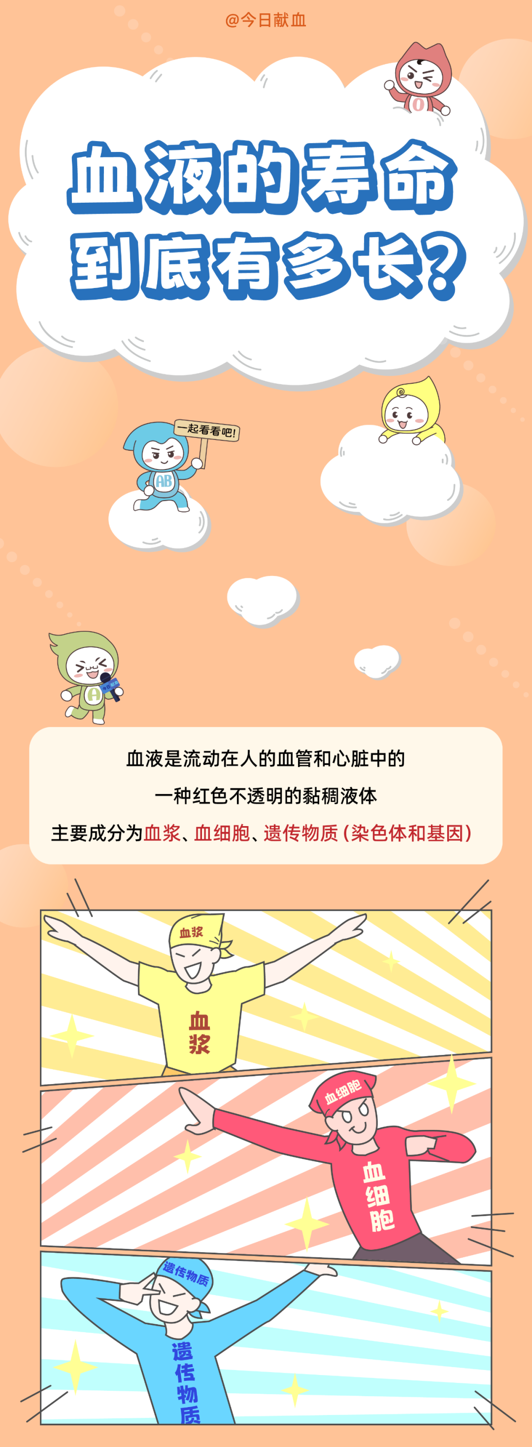 血液的寿命到底有多长？