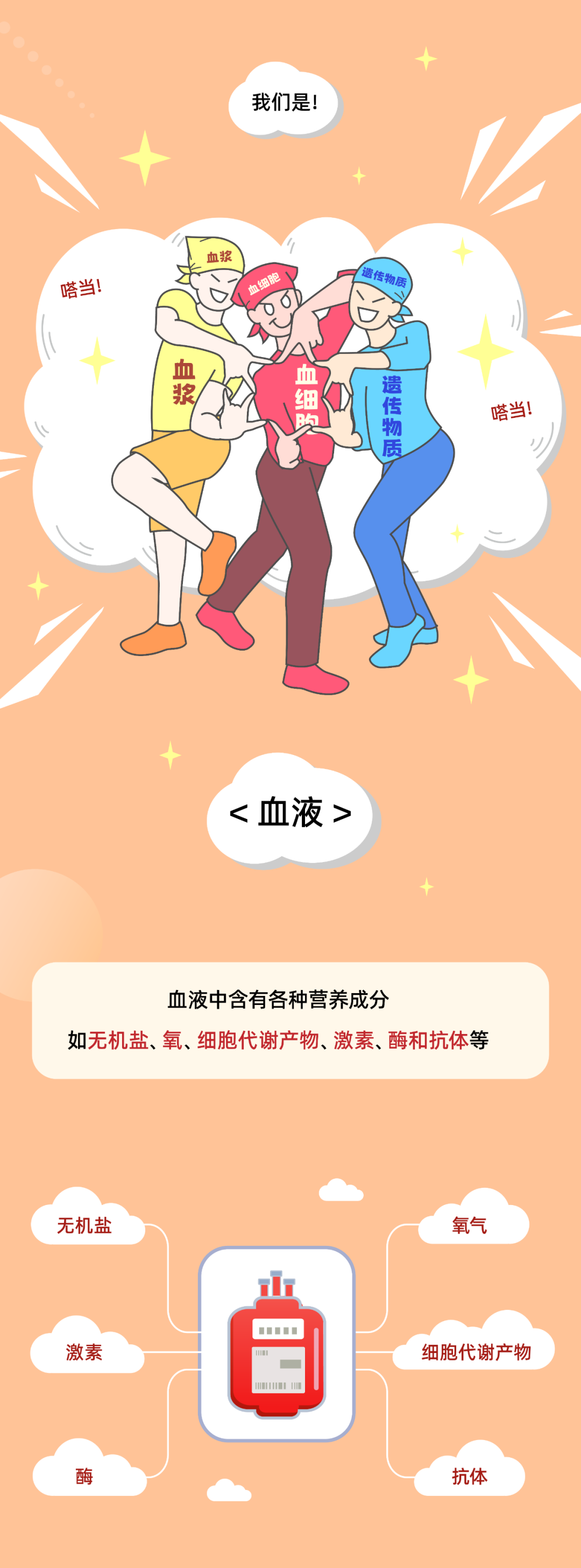 血液的寿命到底有多长？