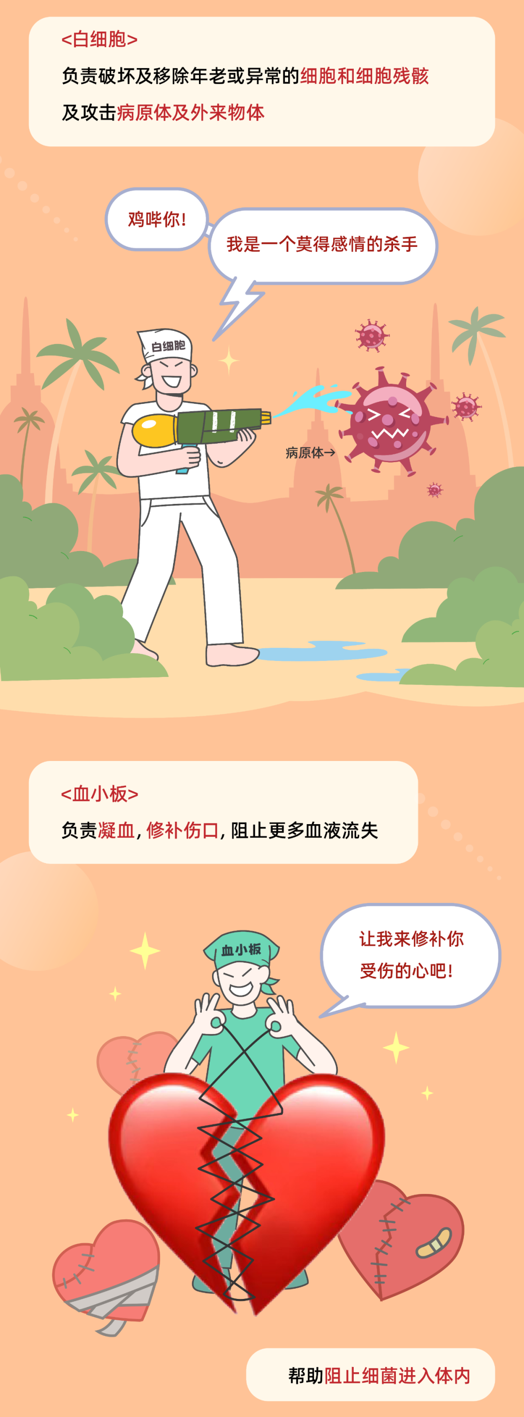 血液的寿命到底有多长？