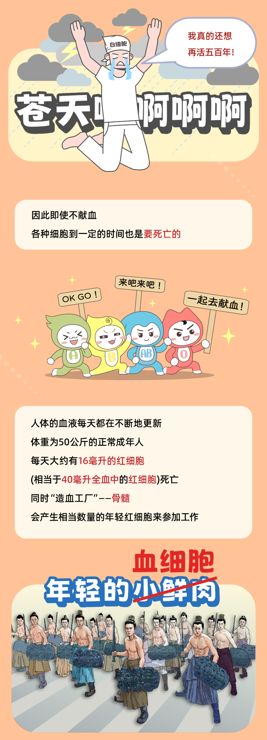 血液的寿命到底有多长？