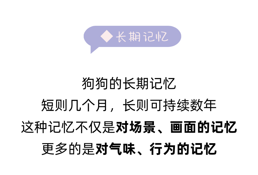 发现狗狗吃屎，主人大吃一惊，狗狗大吃一斤！