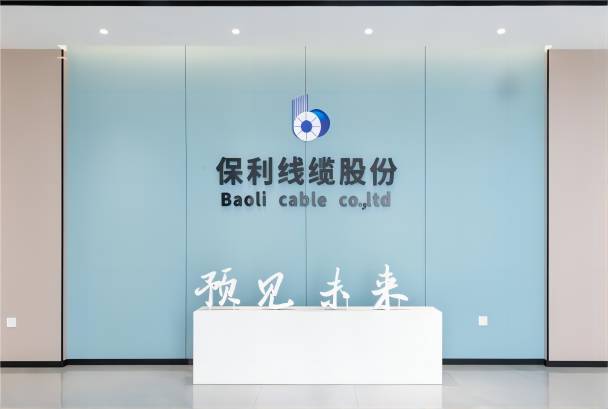 公司简介 公司简介