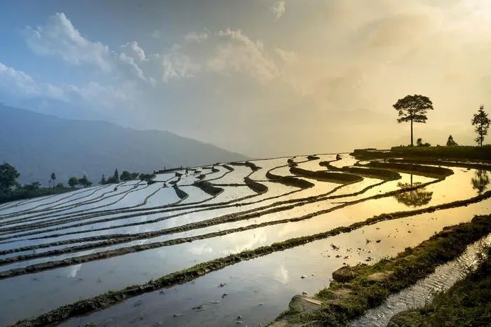 自然资源部：科学推进村庄规划编制管理，盘活利用集体建设用地