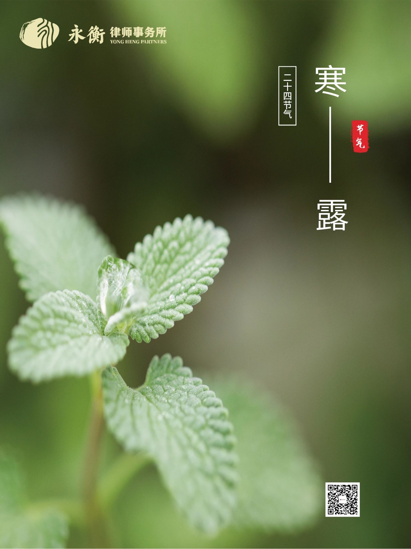 寒露节气