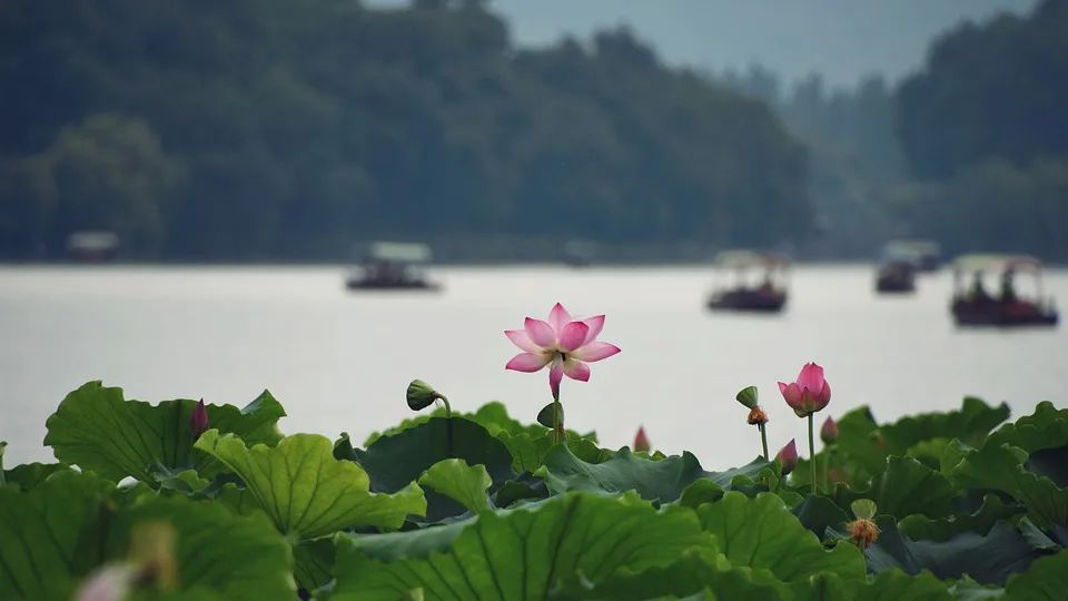 未来已来，A级景区该另寻突破！