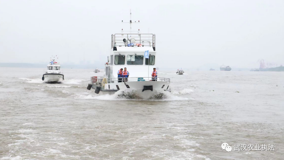 武汉、鄂州、黄冈开展三市交界水域联合执法行动