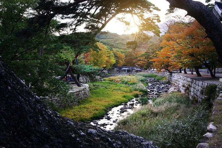 “寺庙旅游”的盛行给文旅产业带来什么启发？