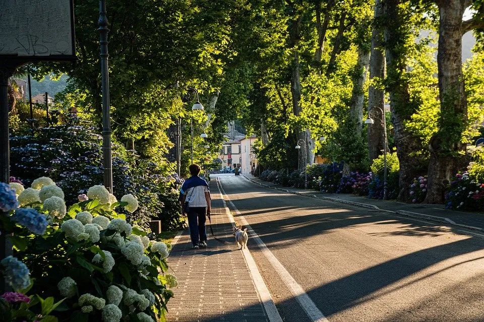 体育旅游潜力无限，未来趋势要如何把握？