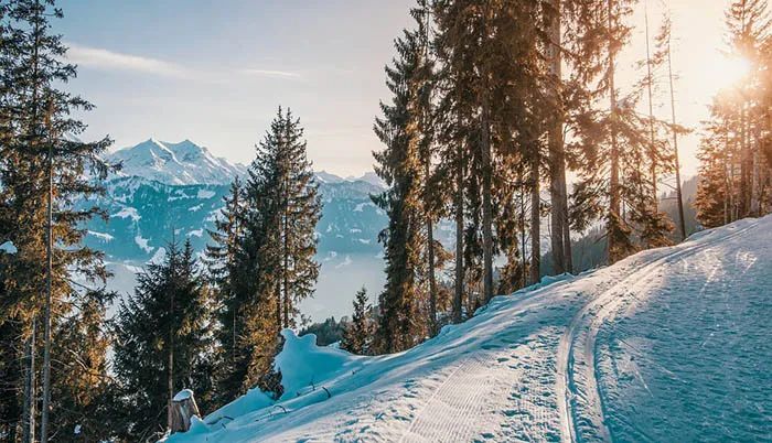 冰雪旅游如何借“冬”风而起？