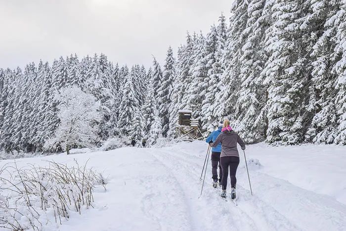 冰雪旅游如何借“冬”风而起？