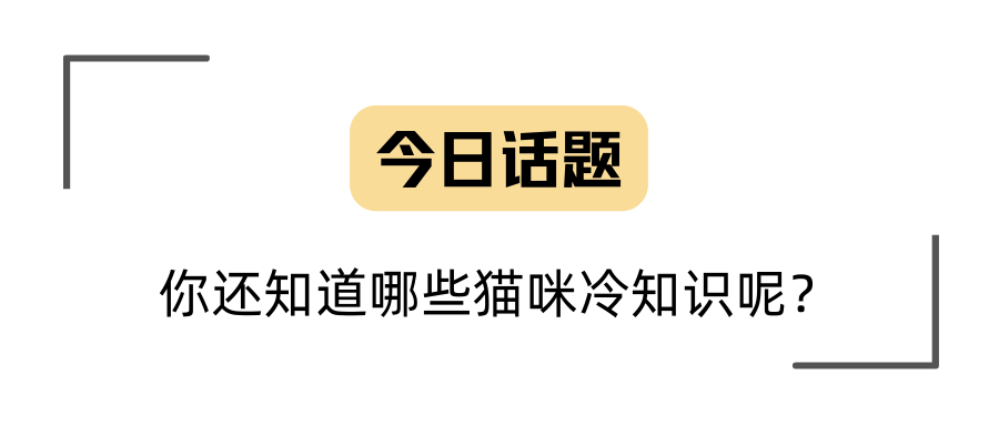 一人一个猫咪冷知识！我先说6个！