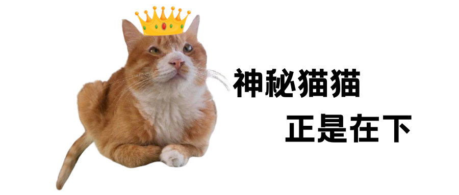 一人一个猫咪冷知识！我先说6个！