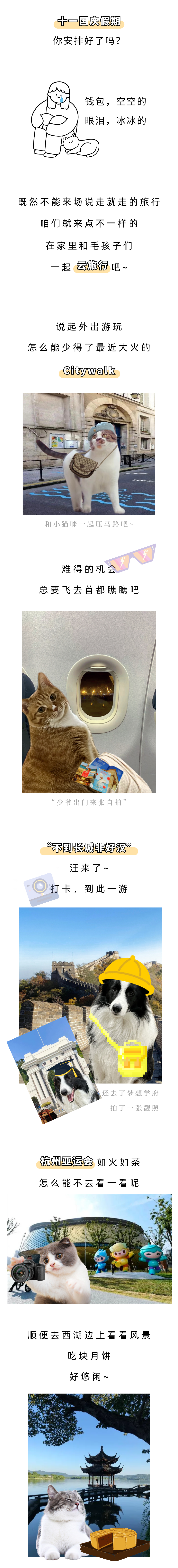 假期毛孩子不能出门？！猫咪狗狗：no！看我们到处旅游打卡~