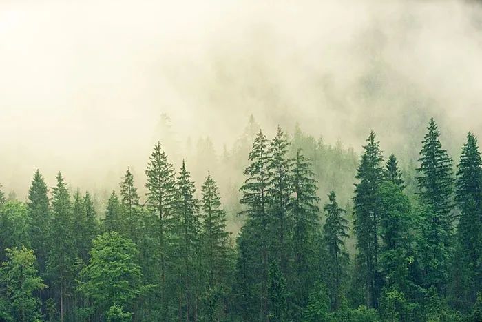 未来十年，山地旅游怎么样？