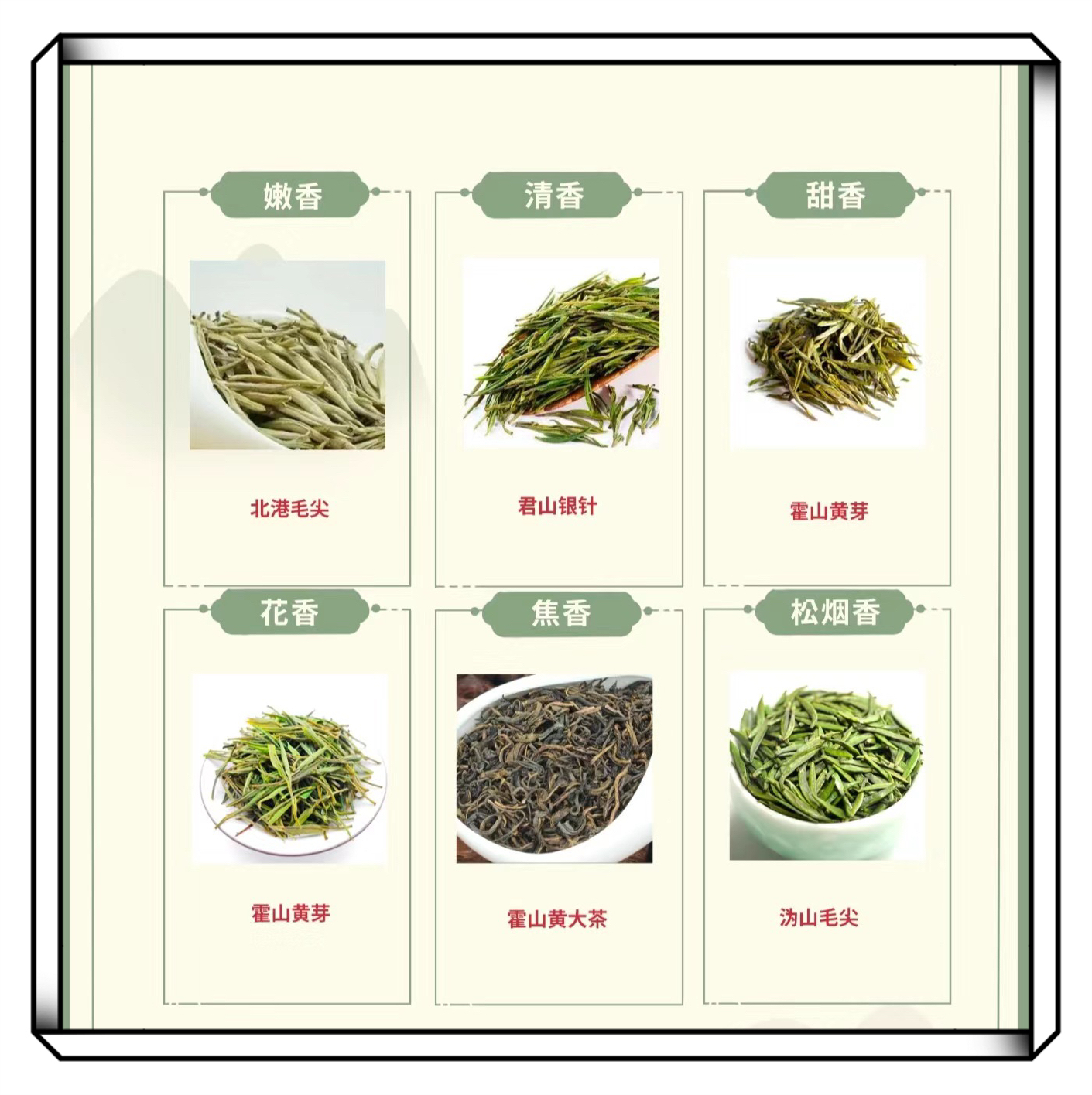 茶言茶语之黄茶篇