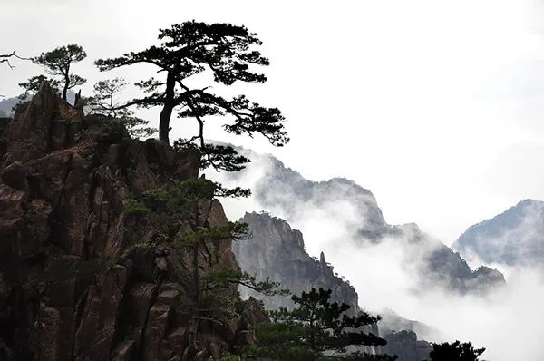 未来已来，A级景区该另寻突破！