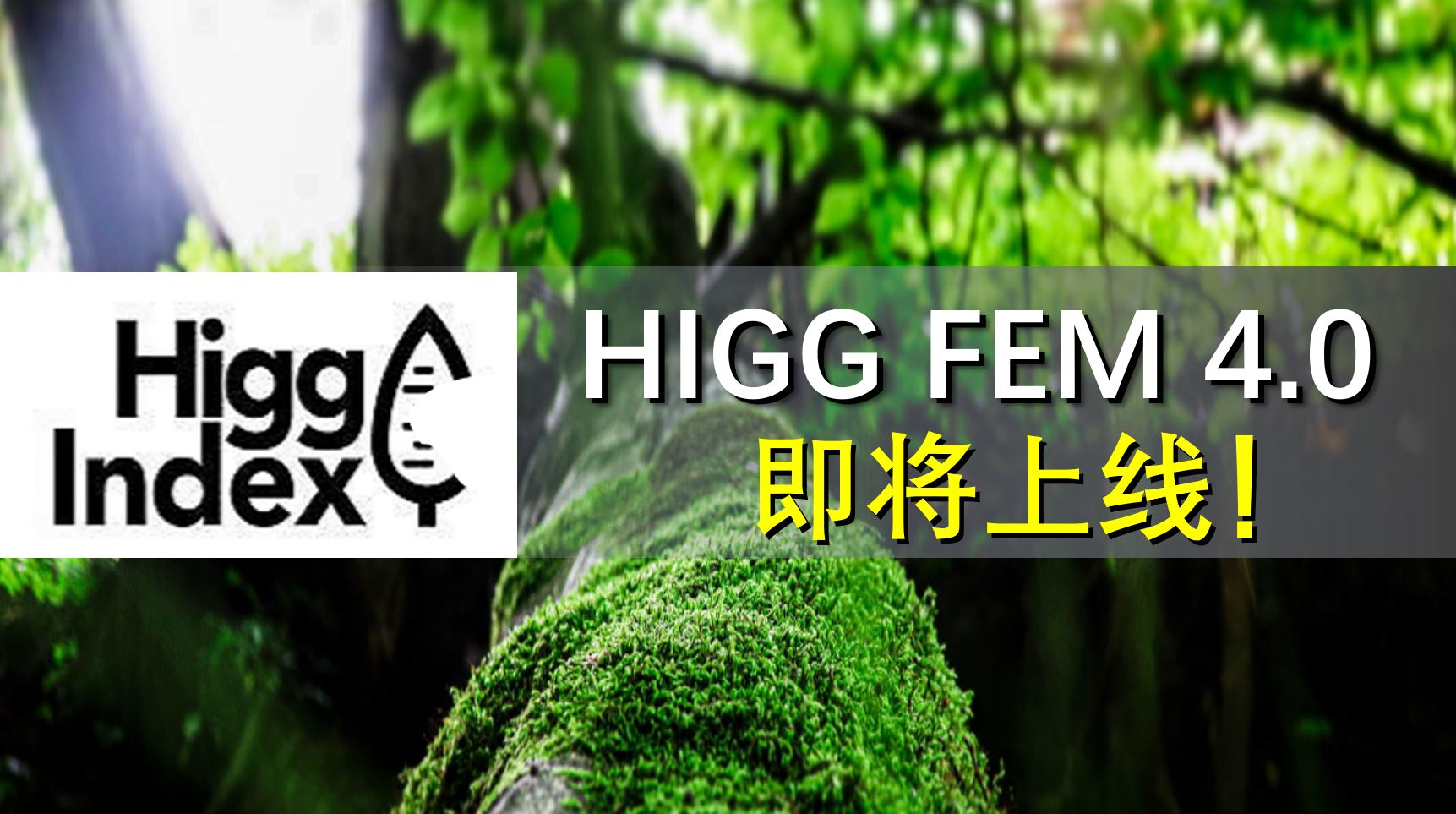 Higg FEM 4.0 升级版标准将于2023年11月上线！