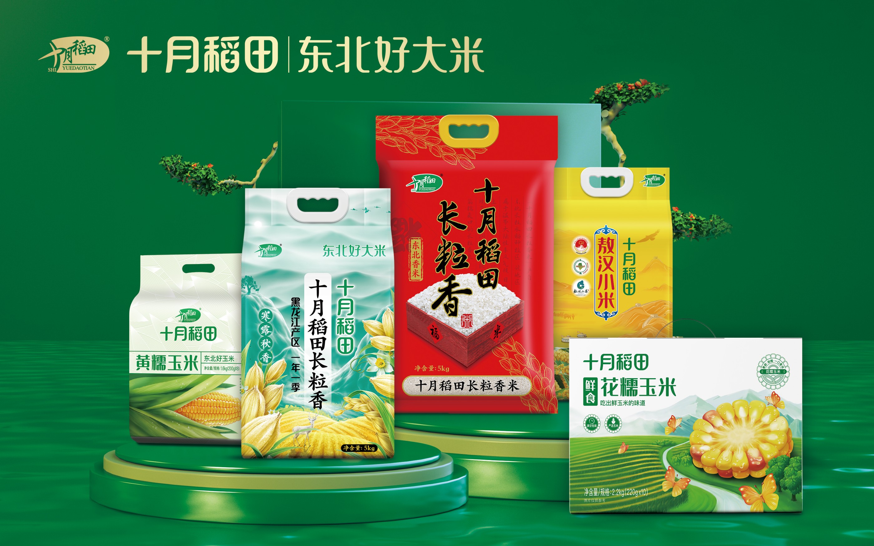 大东北跑出了一个“十月稻田”，年入数十亿元