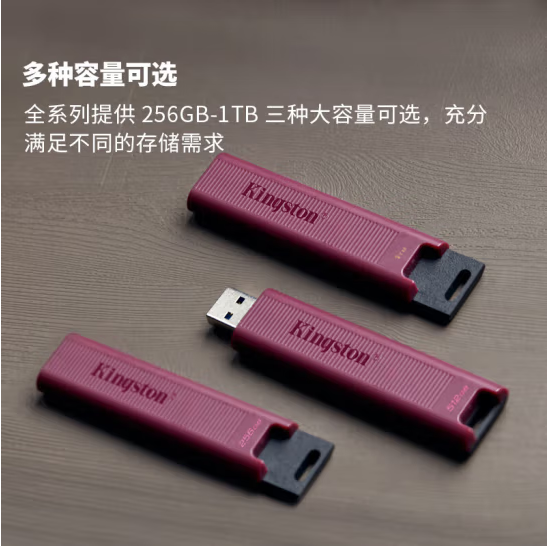 金士顿DTMAXA USB3.2 超极速固态U盘