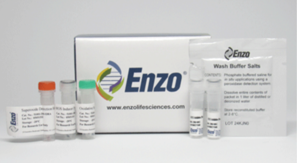ROS-ID®总活性氧/超氧化物检测试剂盒——ENZO热销产品