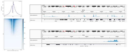 Epicypher热销产品——Histone H3K27ac Antibody, SNAP-ChIP® Certified