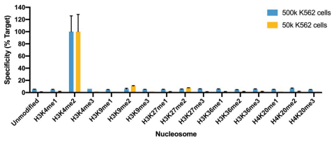 Epicypher热销产品——Histone H3K4me2 Antibody, SNAP-Certified™ for CUT&RUN