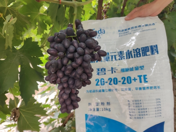 水溶肥价格与质量如何成正比？