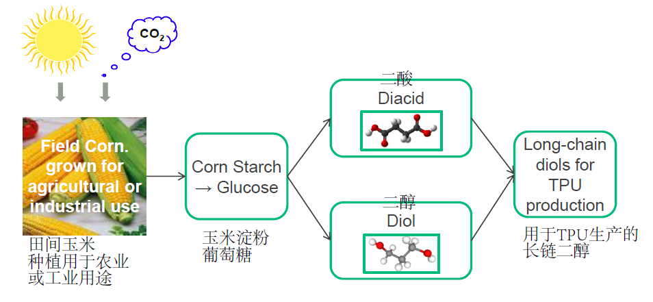 生物基TPU