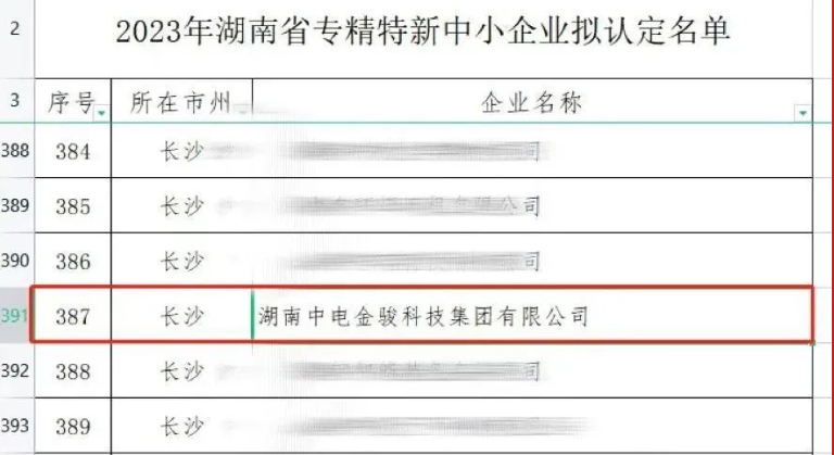 热烈庆祝|中电金骏拟入选湖南省“专精特新”企业名单，以高标准创高质量发展