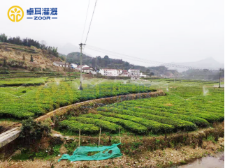 英山县2019年高标准农田建设项目 英山县2019年高标准农田建设项目