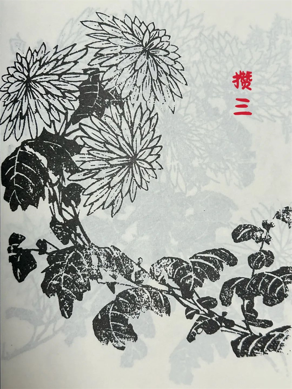 【采薇专栏】傲骨晚香最动人——名师菊花插花赏析