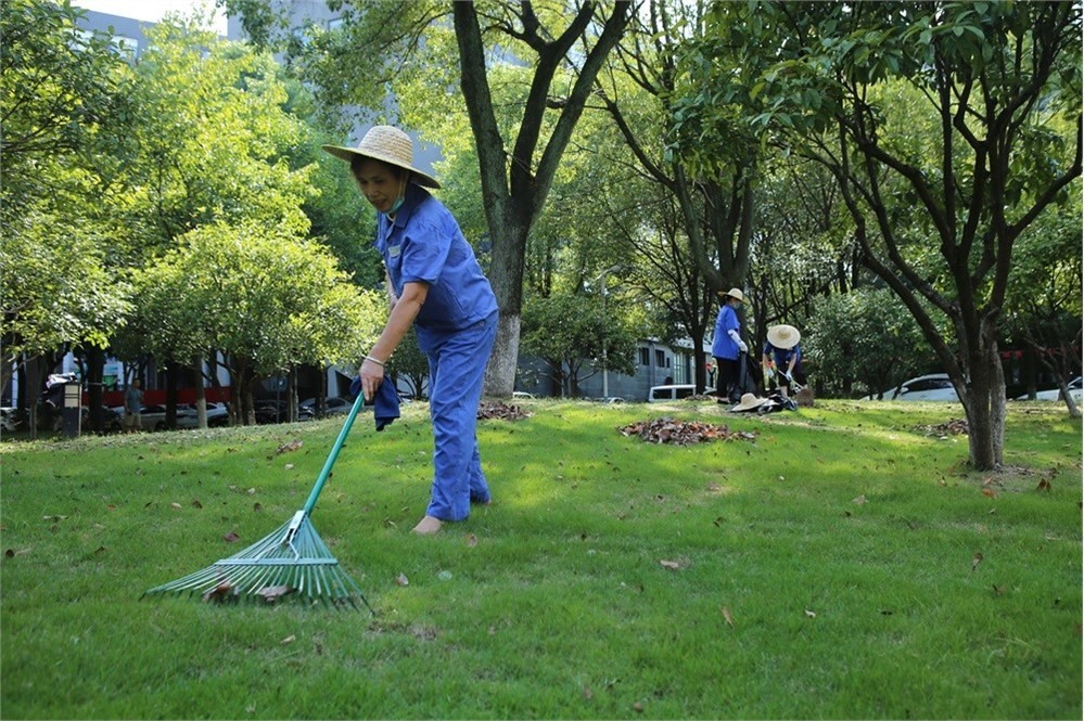 绿化保洁